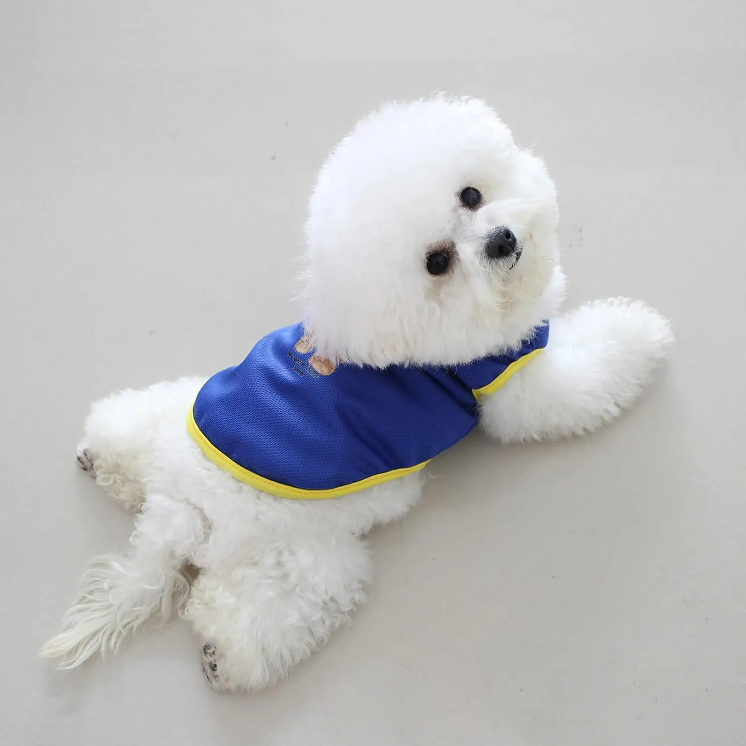 10 Pieces Dog Shirts Bear Print Puppy Shirt Breathable Pet Apparel Dog Sleeveless Vest for Small Medium Large Dogs Cats