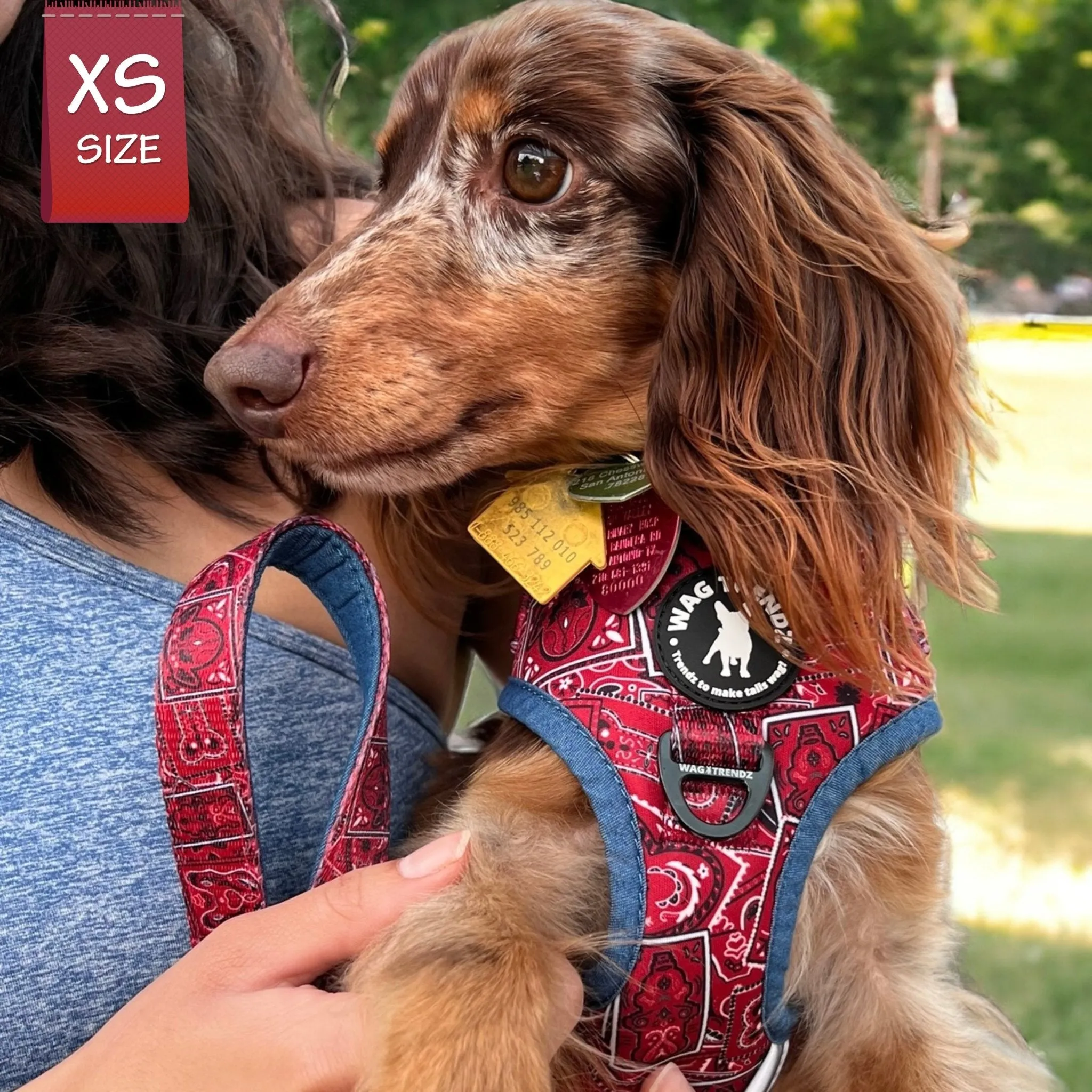 Adjustable Dog Leash | Bandana Boujee Red