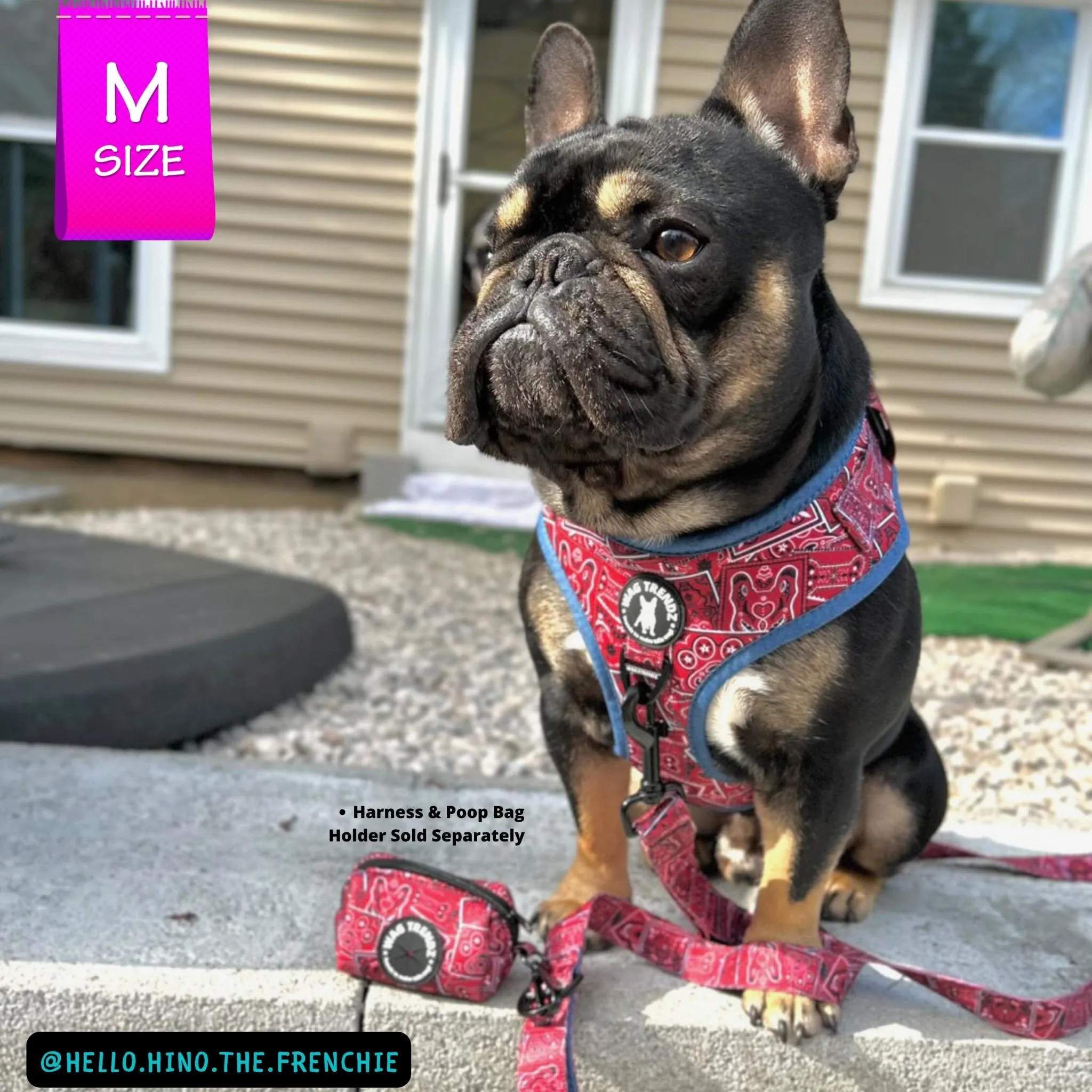 Adjustable Dog Leash | Bandana Boujee Red