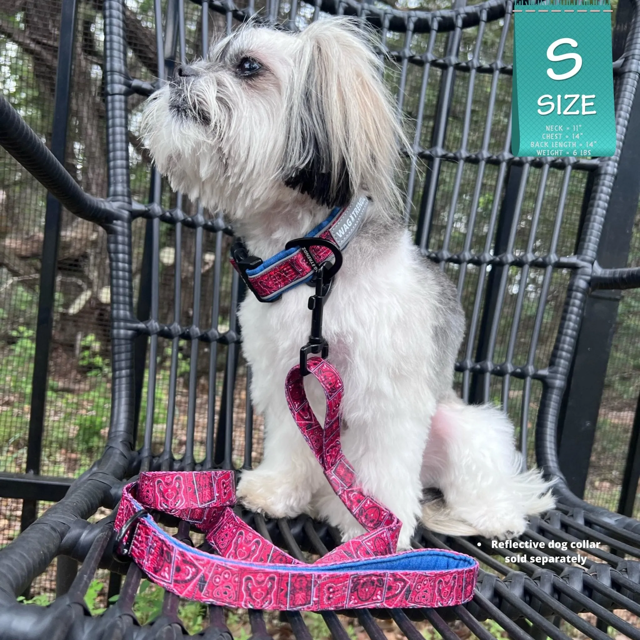 Adjustable Dog Leash | Bandana Boujee Red