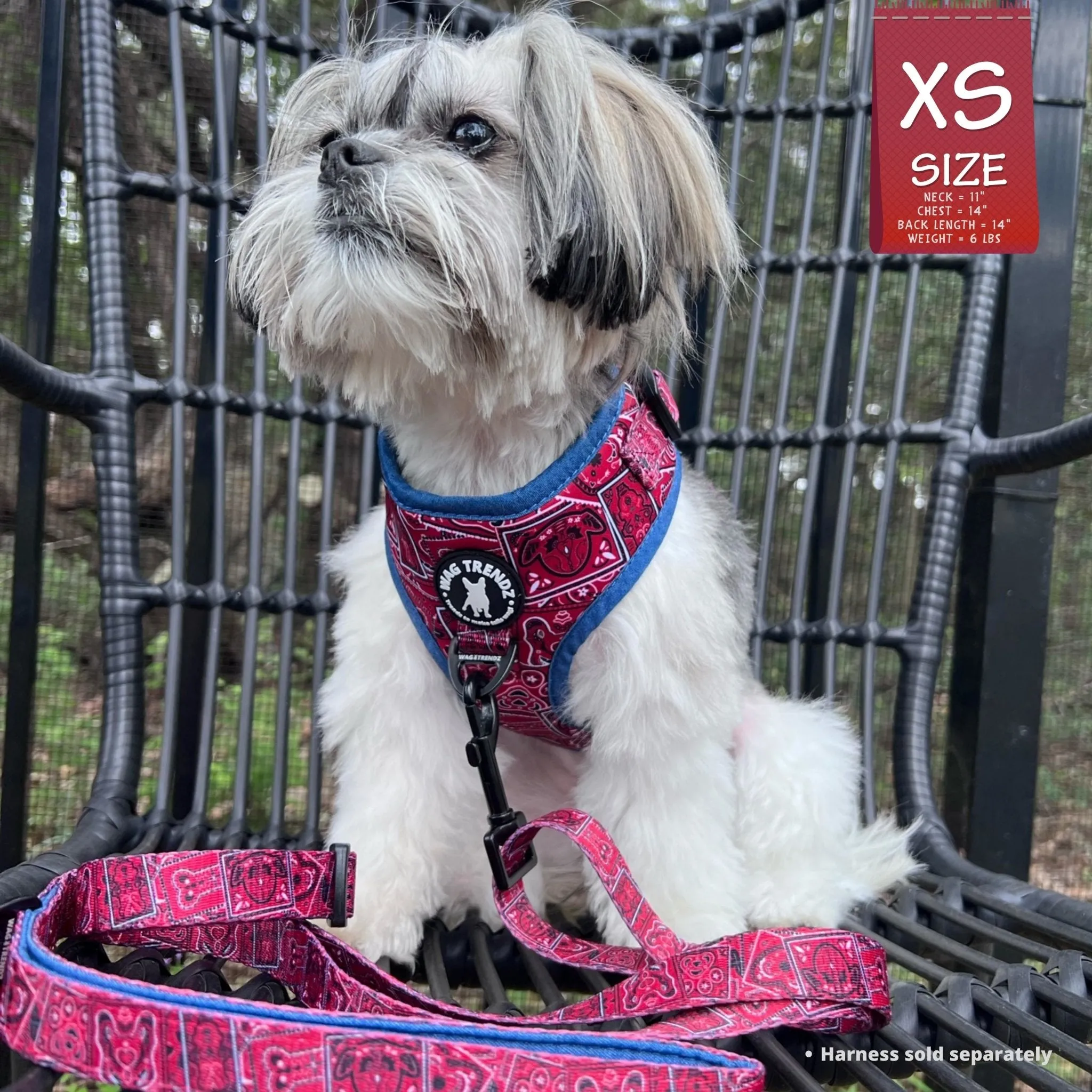 Adjustable Dog Leash | Bandana Boujee Red