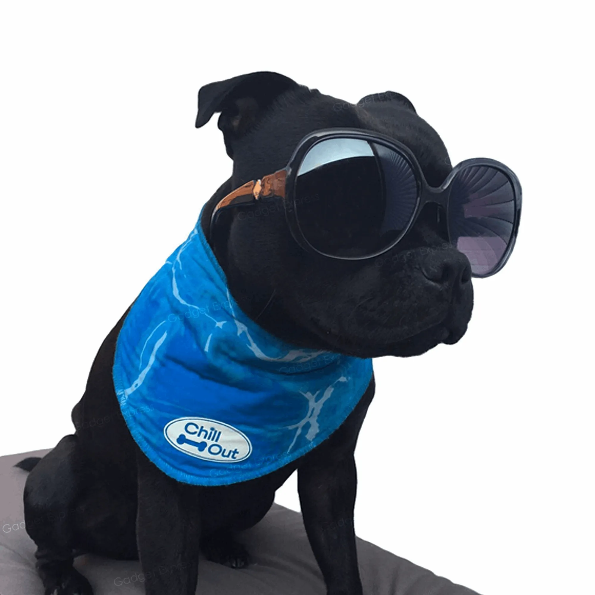 AFP Chill Out Bandana