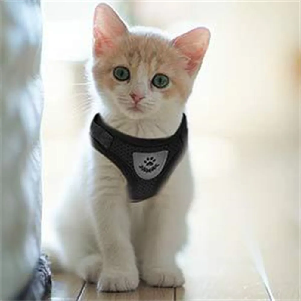 Aiitle Adjust Breathable Pet Harness Leash Set