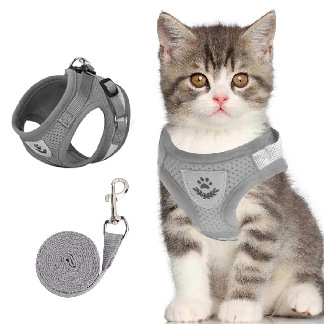 Aiitle Adjust Breathable Pet Harness Leash Set