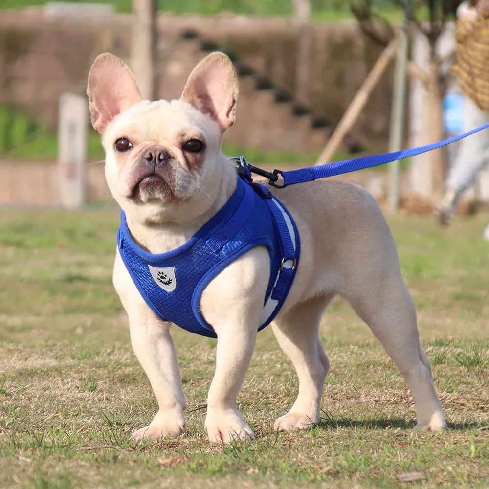 Aiitle Adjust Breathable Pet Harness Leash Set