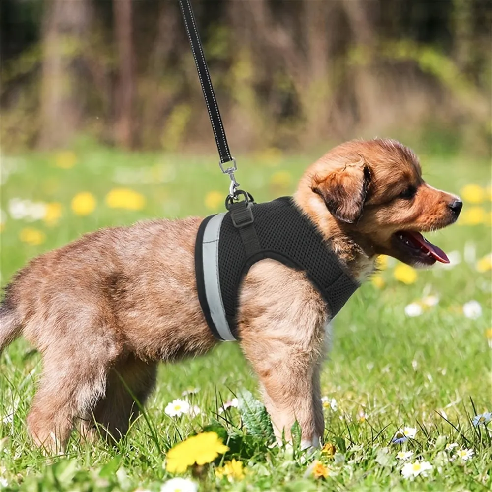 Aiitle Adjust Breathable Pet Harness Leash Set