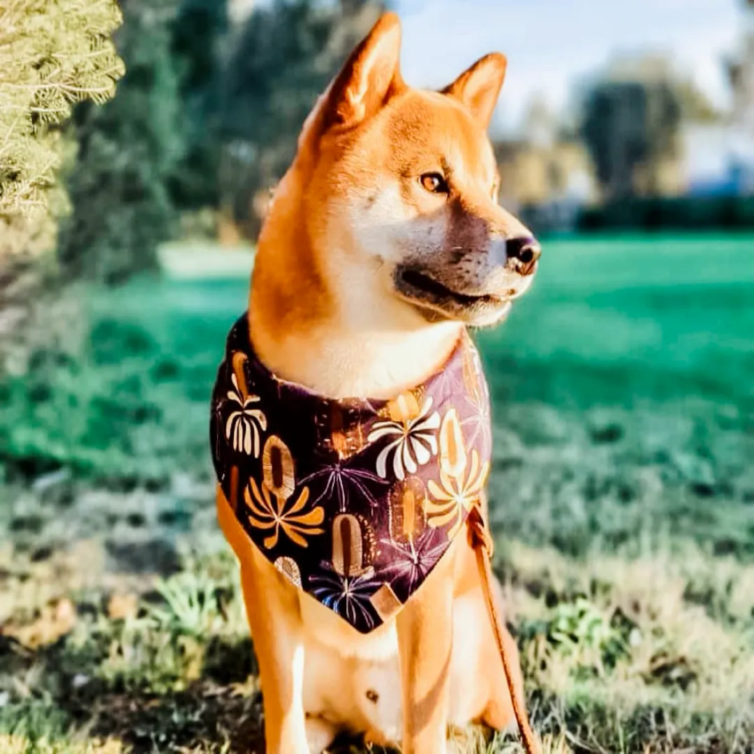 Blue Floral Dog Bandana