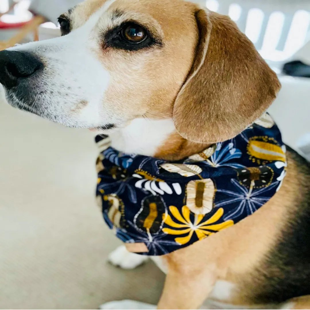 Blue Floral Dog Bandana