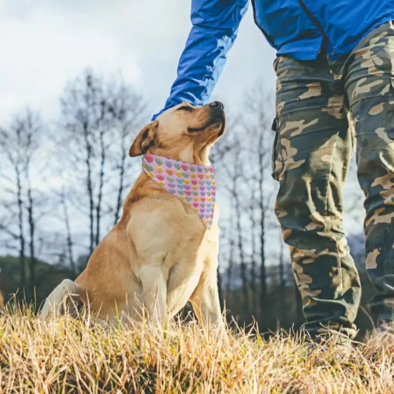Candy Hearts Bandana for a Stylish Puppy This Valentine’s Day