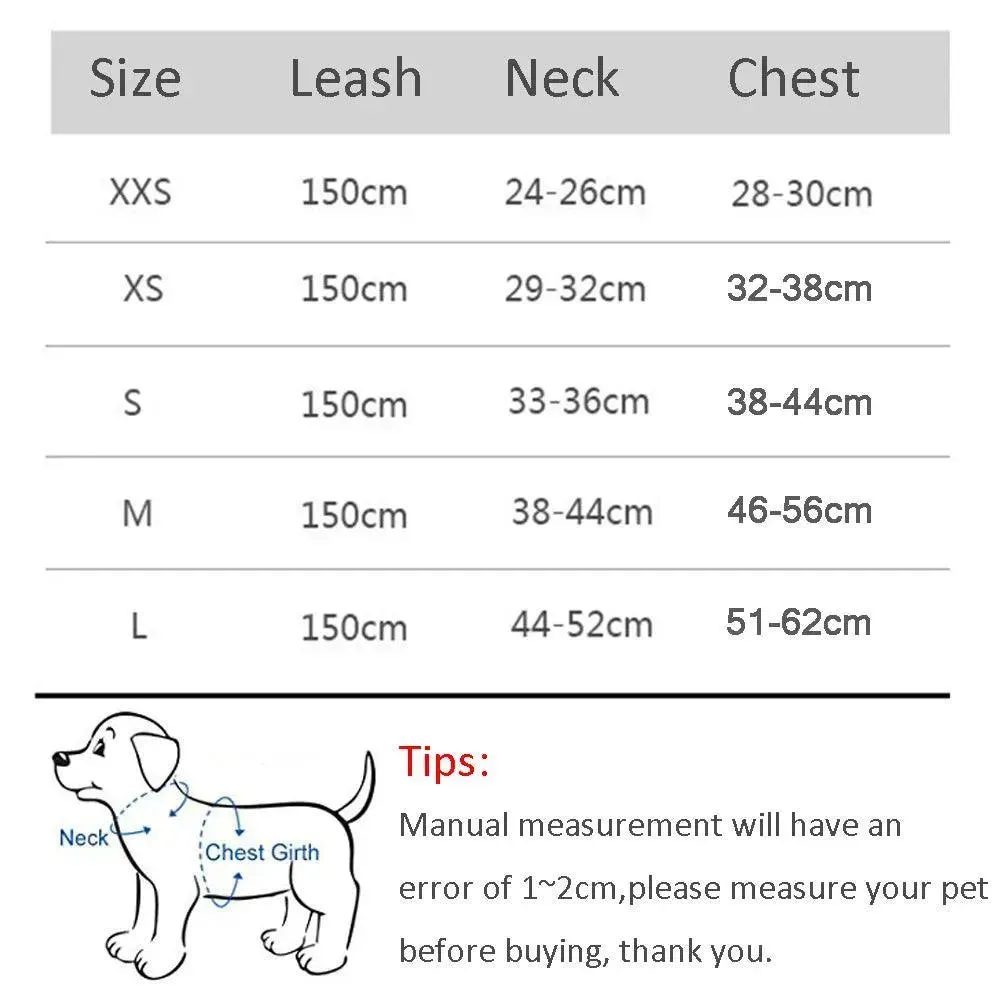 Complete Harness Leash Set