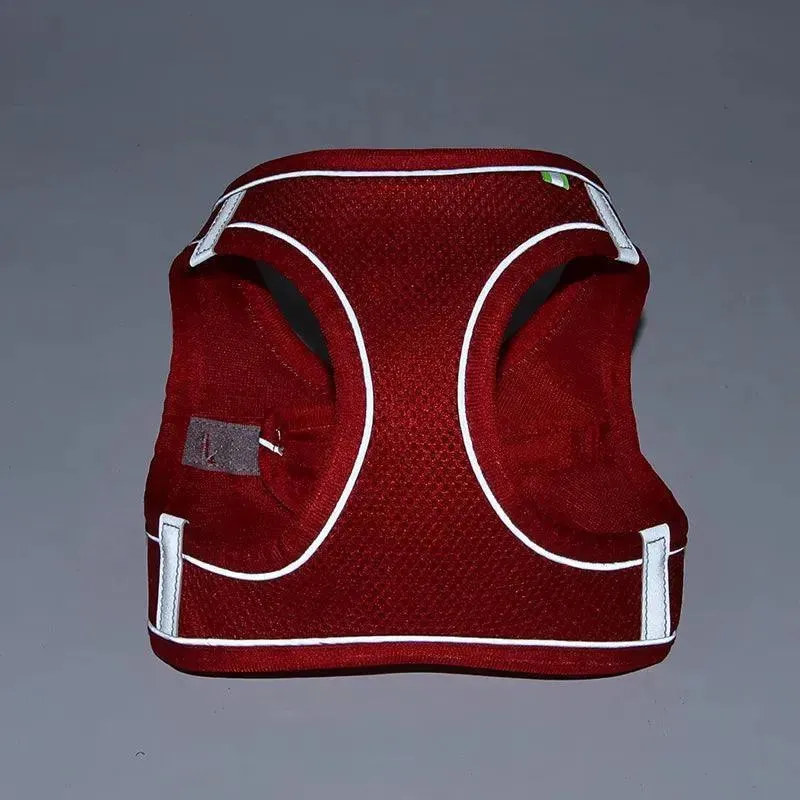 Complete Harness Leash Set