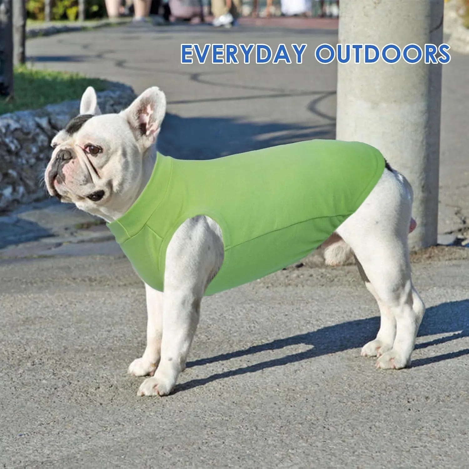 Dog Fleece Vest - Green, L - Pullover Warm Dog Sweater, Stretchable Large Dog Sweatshirt, Lightweight Dog Jackets for Medium Dogs, Dachshund Clothes, French Bulldog Sweater, Mini Schnauzer