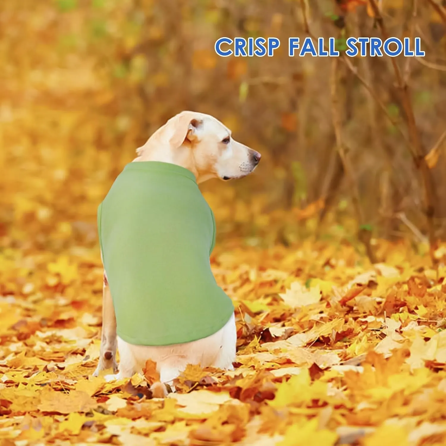 Dog Fleece Vest - Green, L - Pullover Warm Dog Sweater, Stretchable Large Dog Sweatshirt, Lightweight Dog Jackets for Medium Dogs, Dachshund Clothes, French Bulldog Sweater, Mini Schnauzer