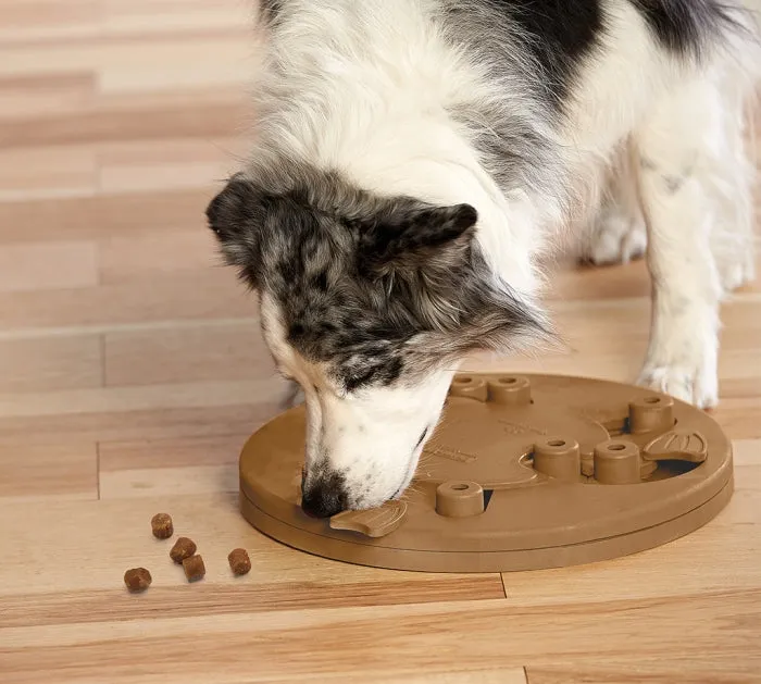 Dog Worker Puzzle