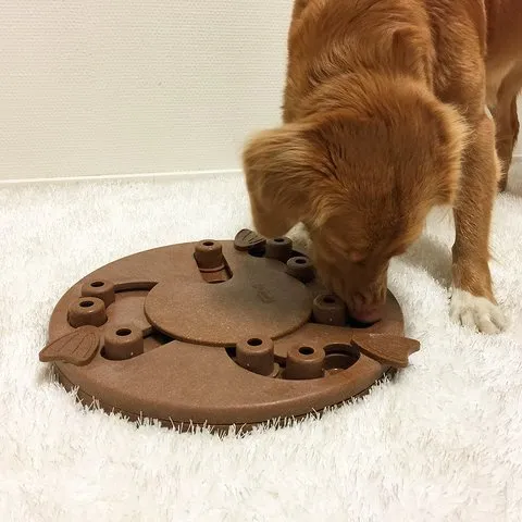 Dog Worker Puzzle