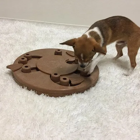 Dog Worker Puzzle
