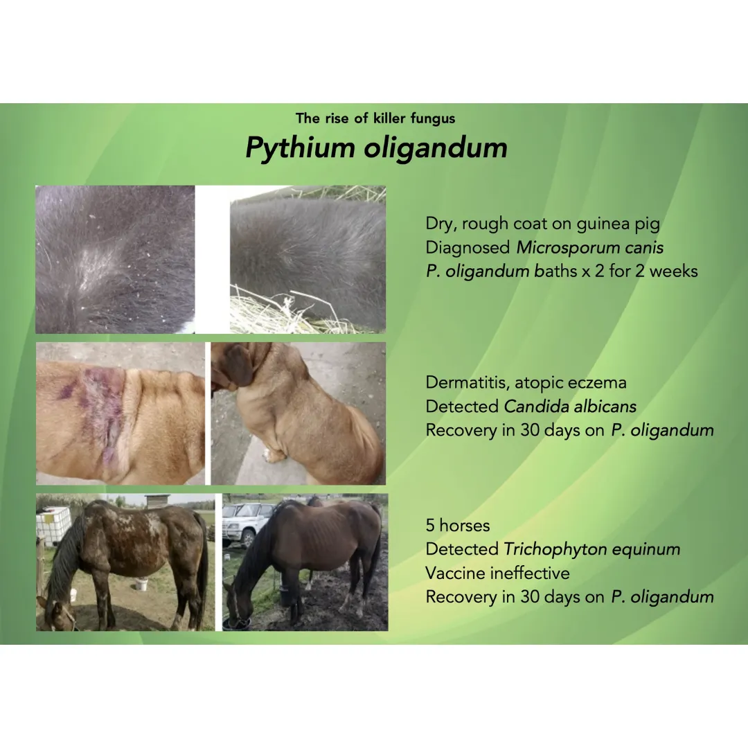 Dogs First Propythium Ear Cleaner