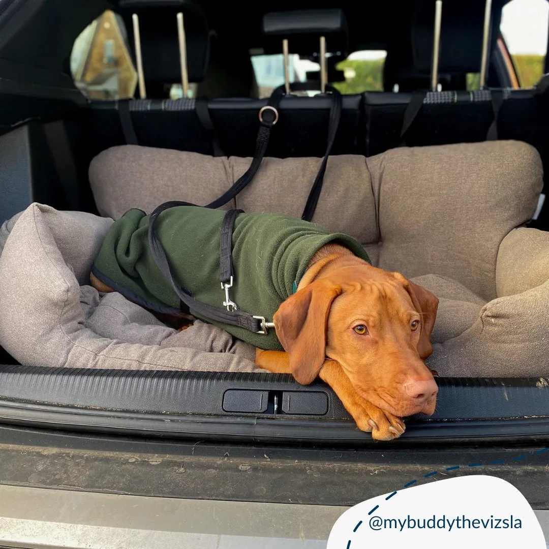 Double Easy Traveller in Truffle by Lords & Labradors