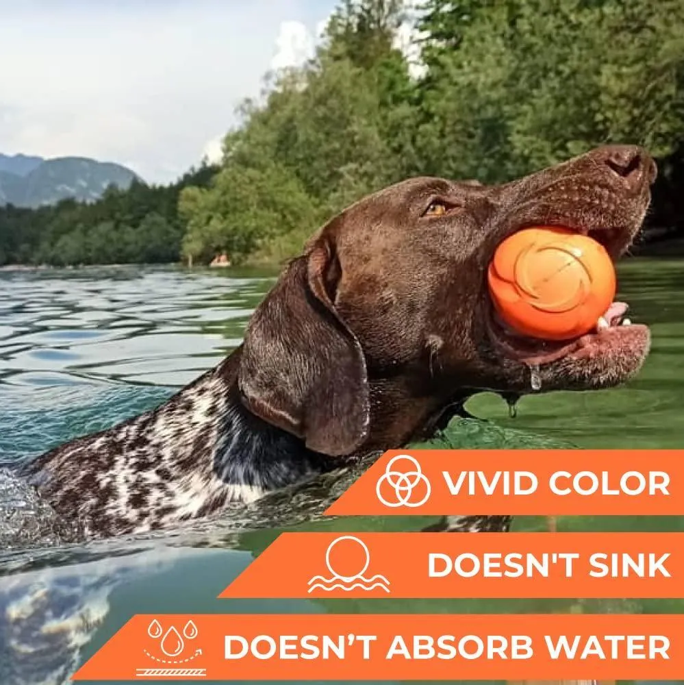 Durable and Safe Dog Toy for Play and Training