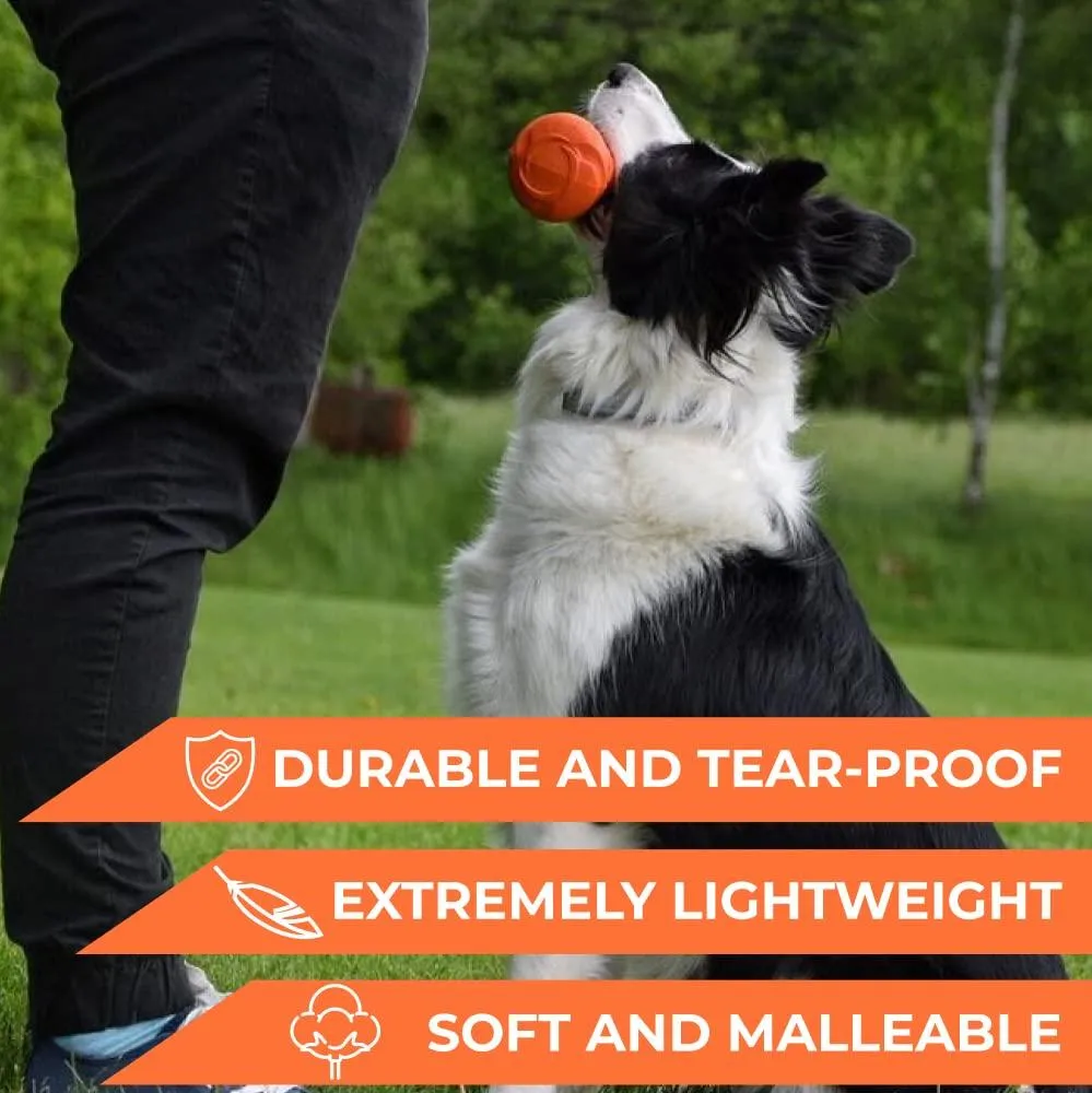 Durable and Safe Dog Toy for Play and Training