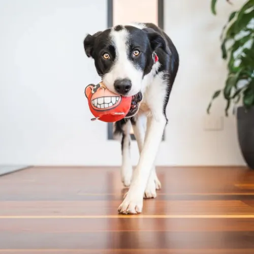DURABLES Ball Toy — Monkey