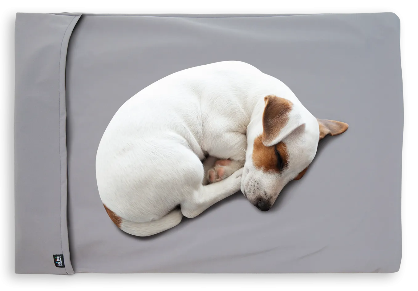 Easy Travel Pad for Dogs and Cats