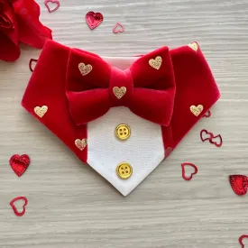 Fancy Valentines Dog Tuxedo, Pink Velvet and gold hearts