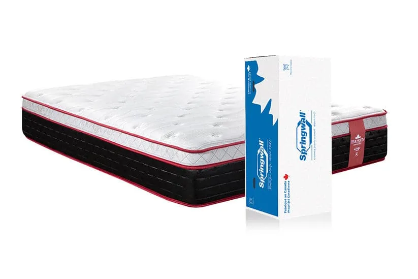 Full XL / Double XL Springwall Chiropractic Pelee 13" Plush Mattress