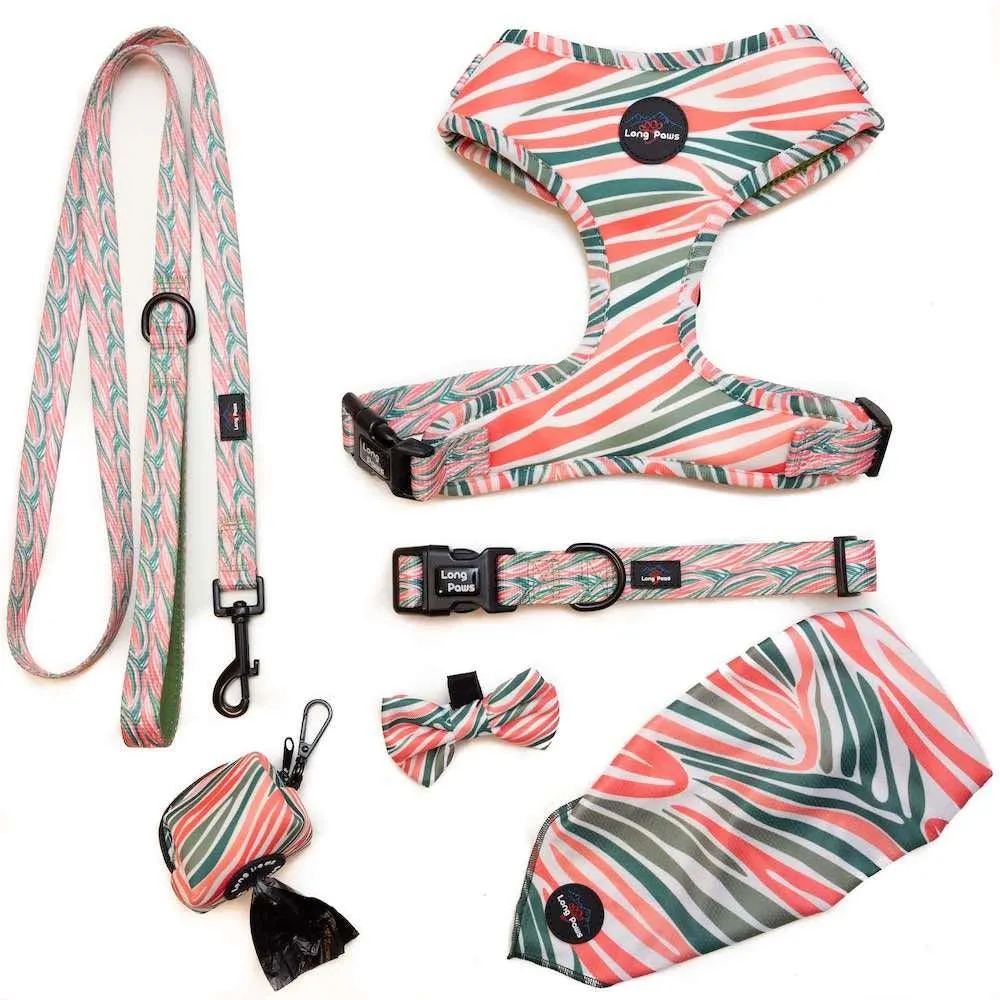 Funk The Dog Bandana | PinkGreen Zebra