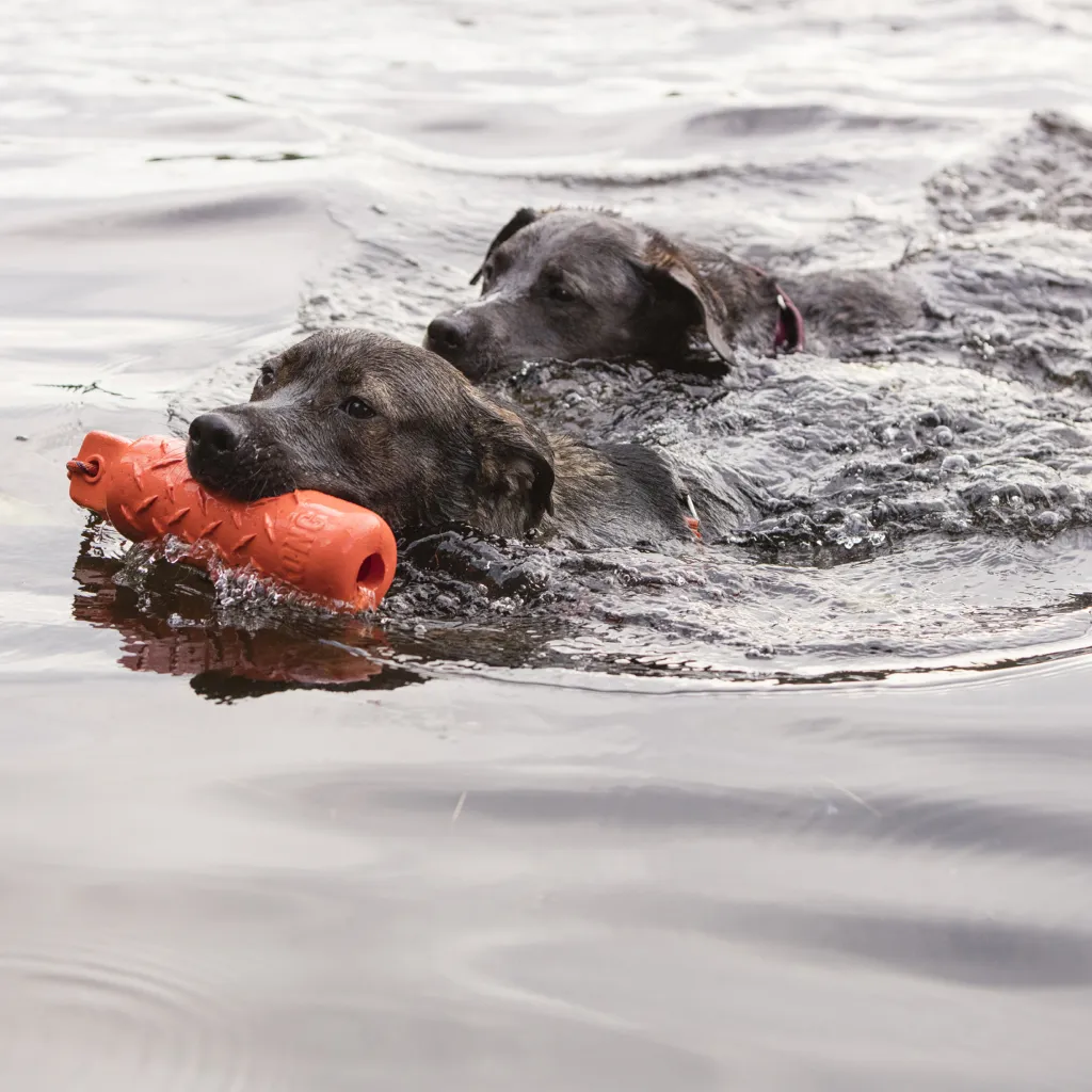Kong Training Dummy Toy For Dogs