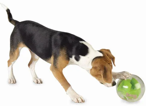 Mazee ~ Dog Puzzle