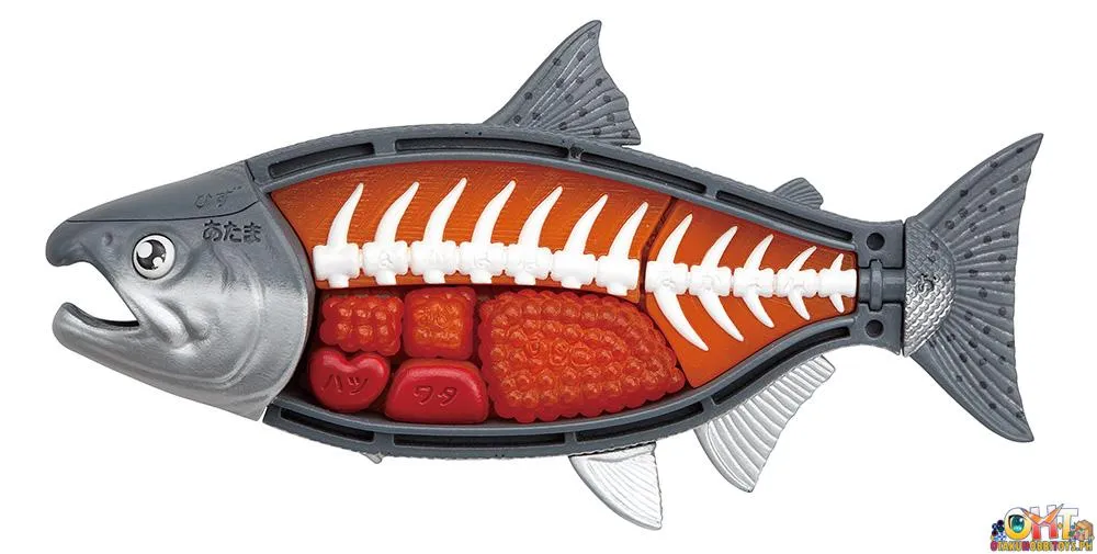 Megahouse King Salmon Kaitai Puzzle