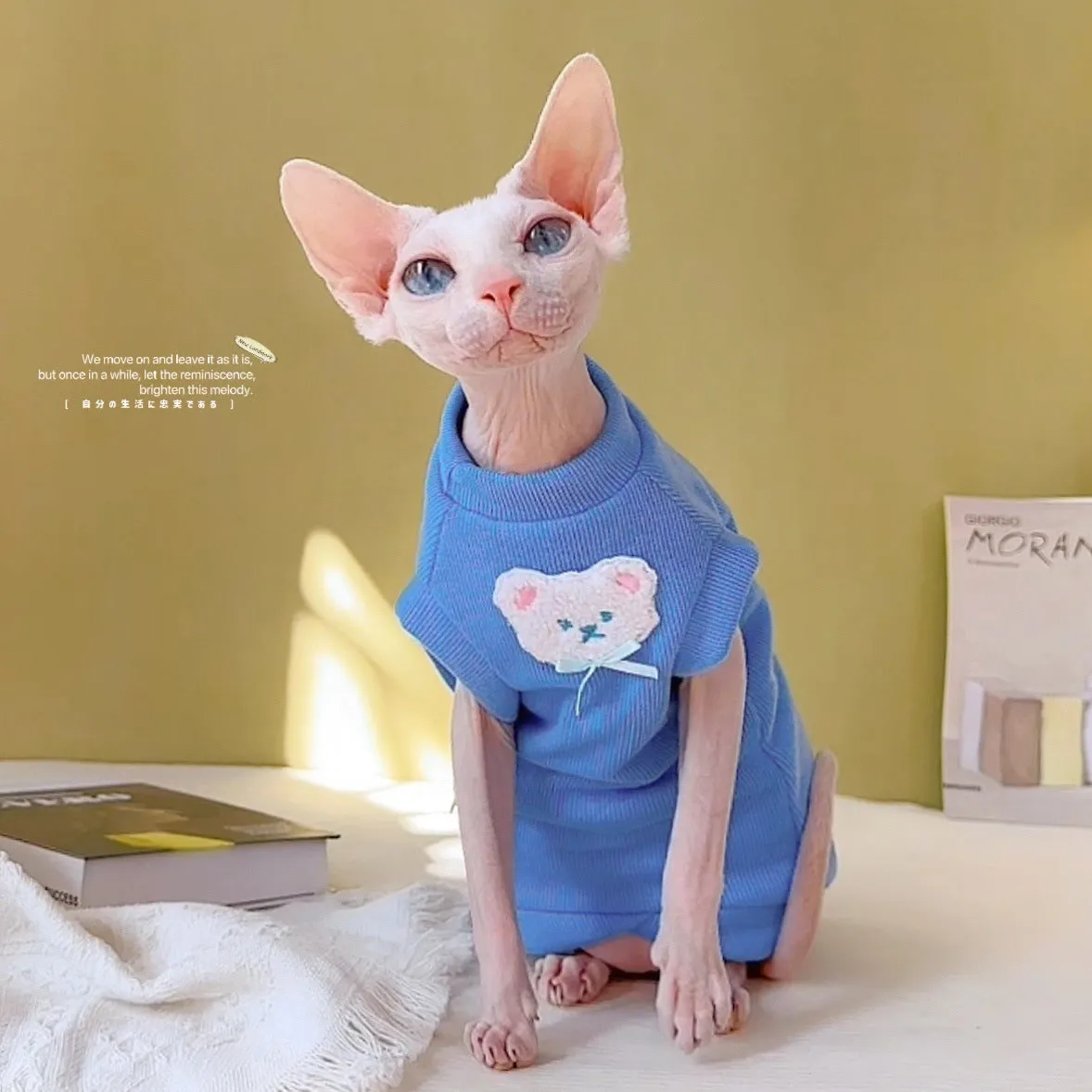 Nice Color Bear Cotton Soft Sleeveless Vest | Summer Thin Sphynx Hairless Cat Clothes