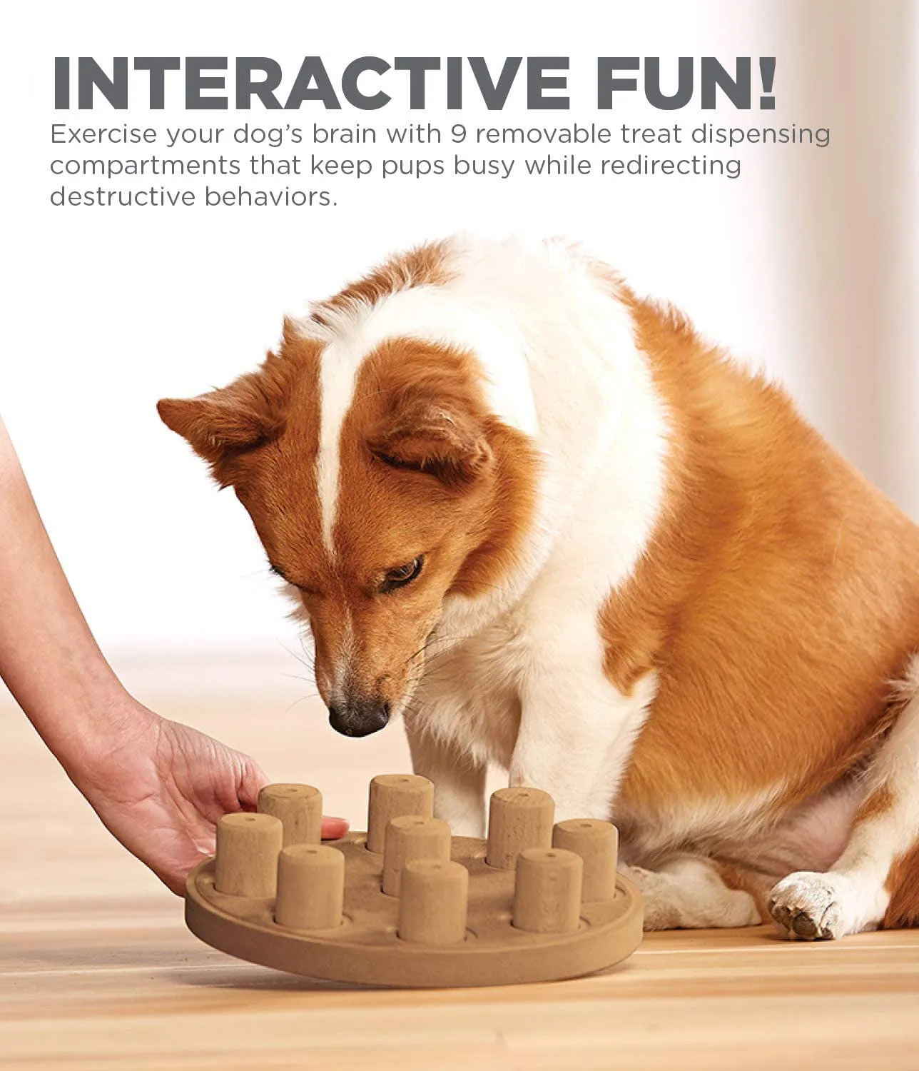 Nina Ottosson Dog Smart Composite Puzzle Game (Level 1 - Easy)