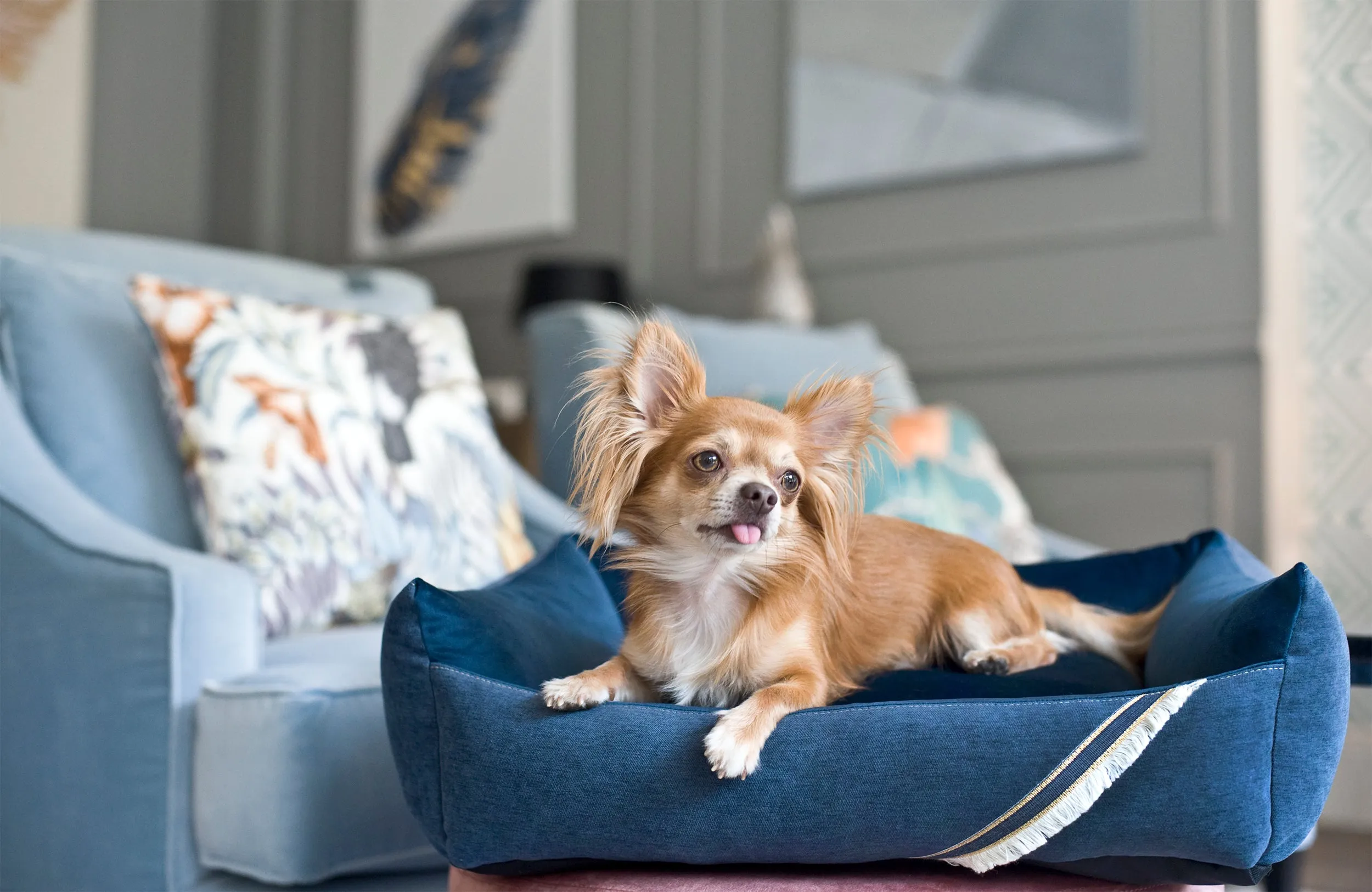 Oh Charlie Square Dog Bed Allure