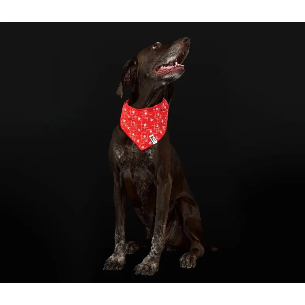 RC Pets - Flare Reflective Bandana