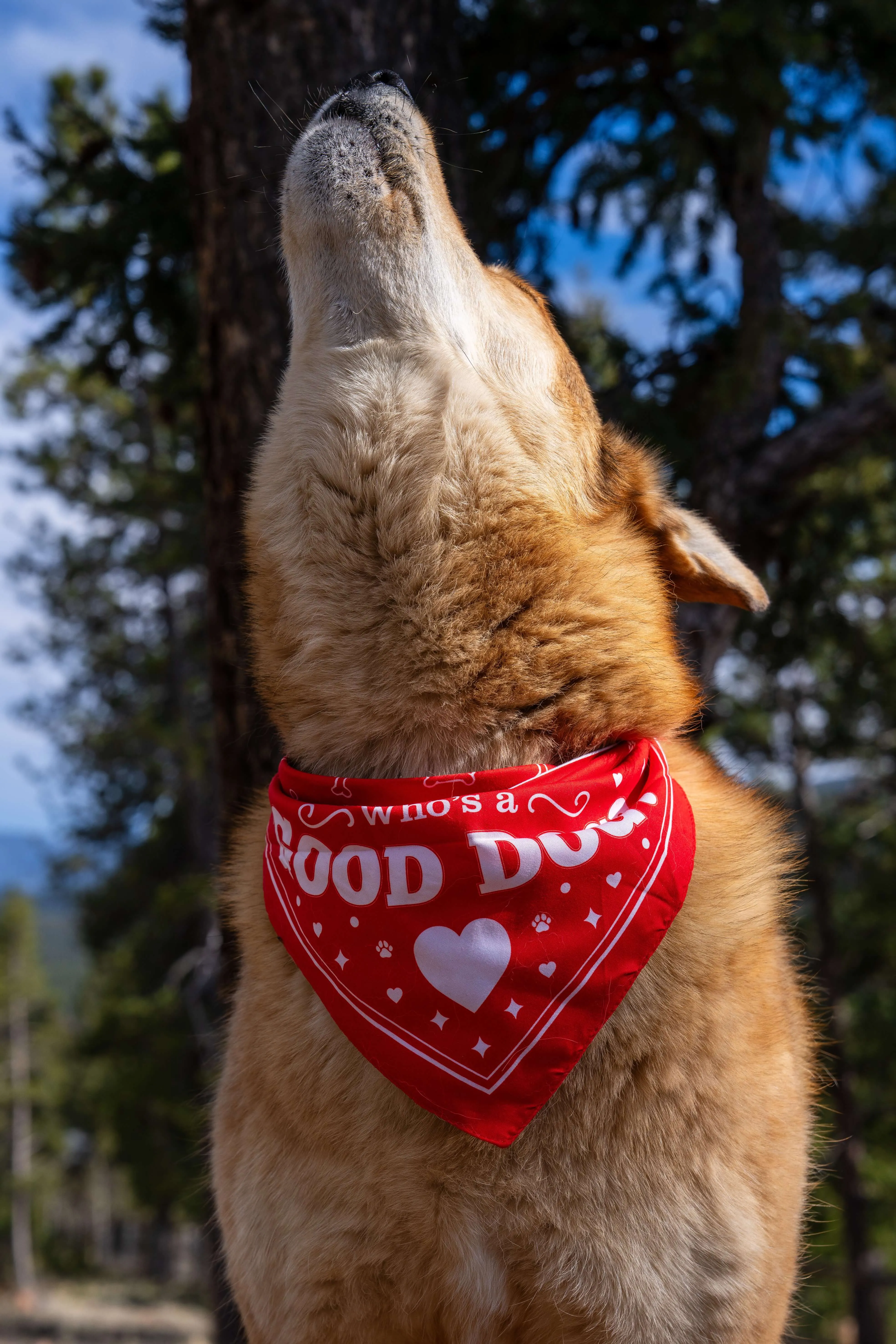 Redbarn Good Dog Bandana