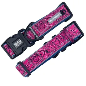 Reflective Dog Collar - Bandana Boujee - Hot Pink