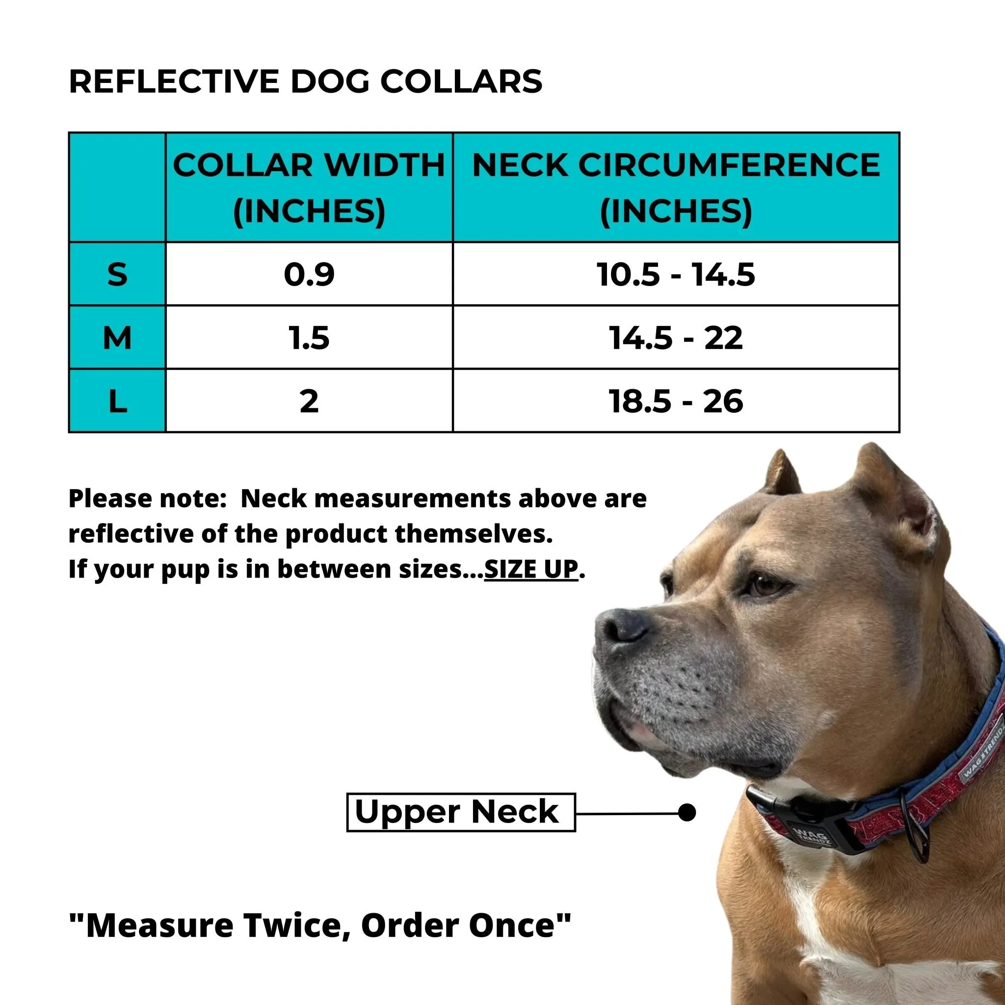 Reflective Dog Collar - Bandana Boujee - Hot Pink