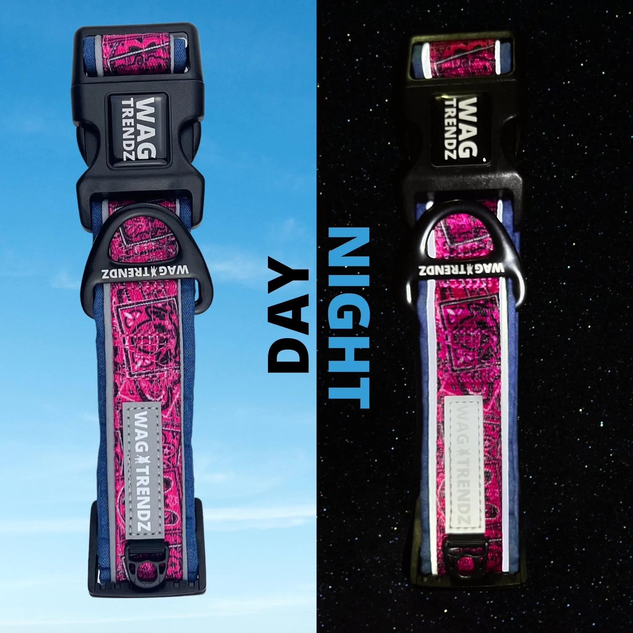 Reflective Dog Collar - Bandana Boujee - Hot Pink