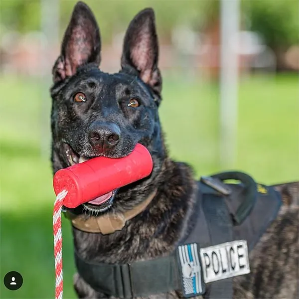 SODAPUP - USA-K9 Firecracker Durable Rubber Floating Toy 5.5"
