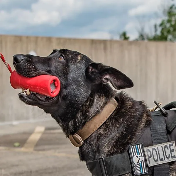 SODAPUP - USA-K9 Firecracker Durable Rubber Floating Toy 5.5"