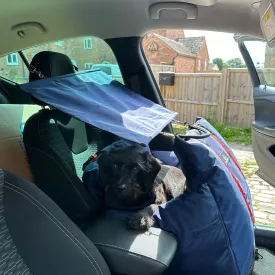 Sunshade - Dog Pod Plus