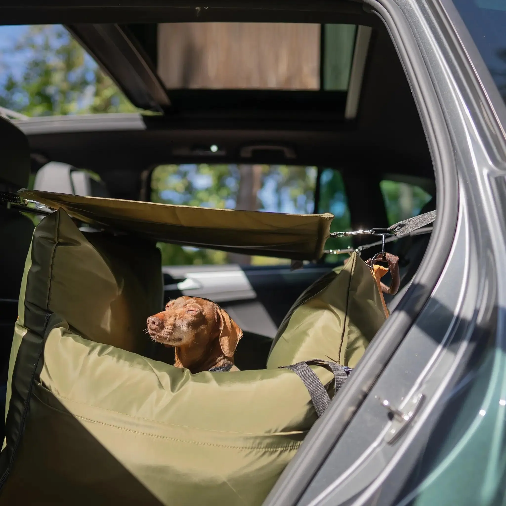 Sunshade - Dog Pod Plus