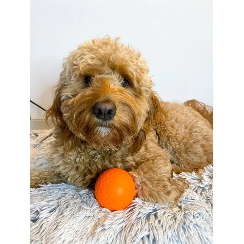 Tall Tails G.O.A.T. Dog Ball Medium Orange