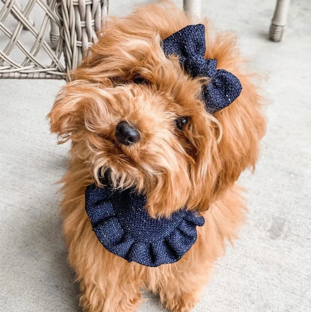 Teal Velvet with ruffles Dog bandana, Fancy bandana