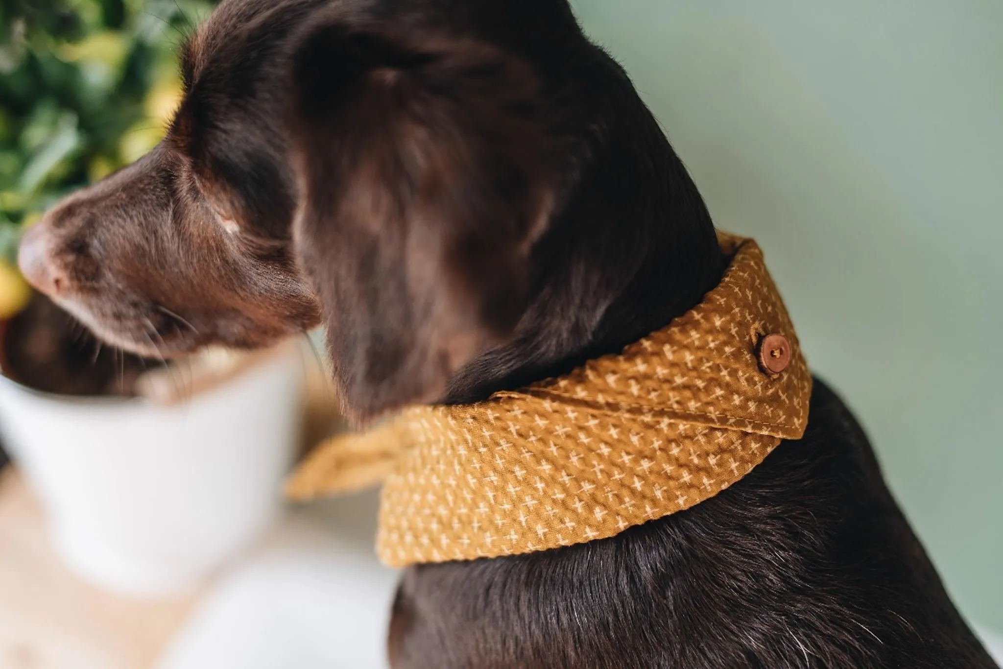 Tori Bandana for Dogs and Cats