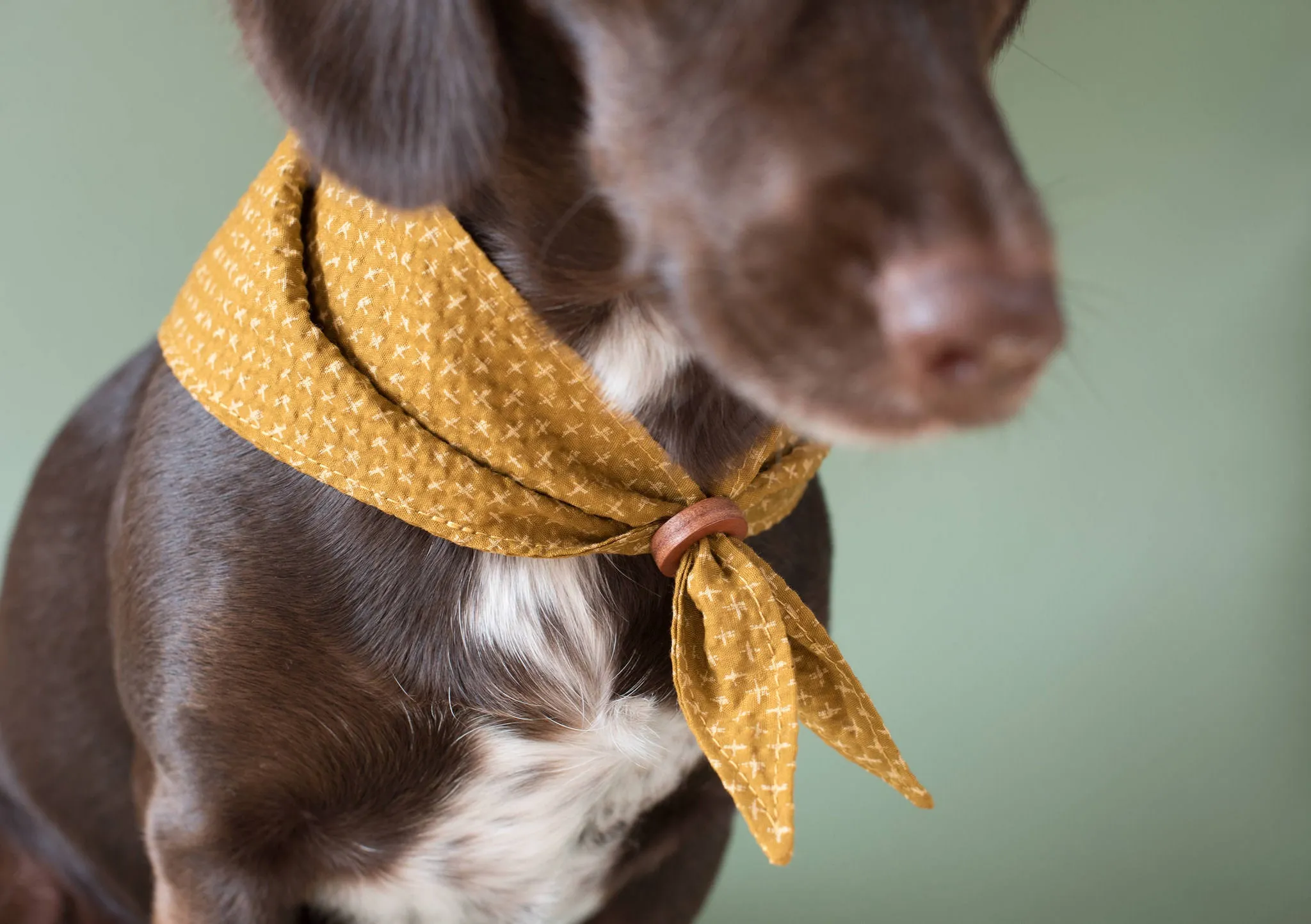 Tori Bandana for Dogs and Cats