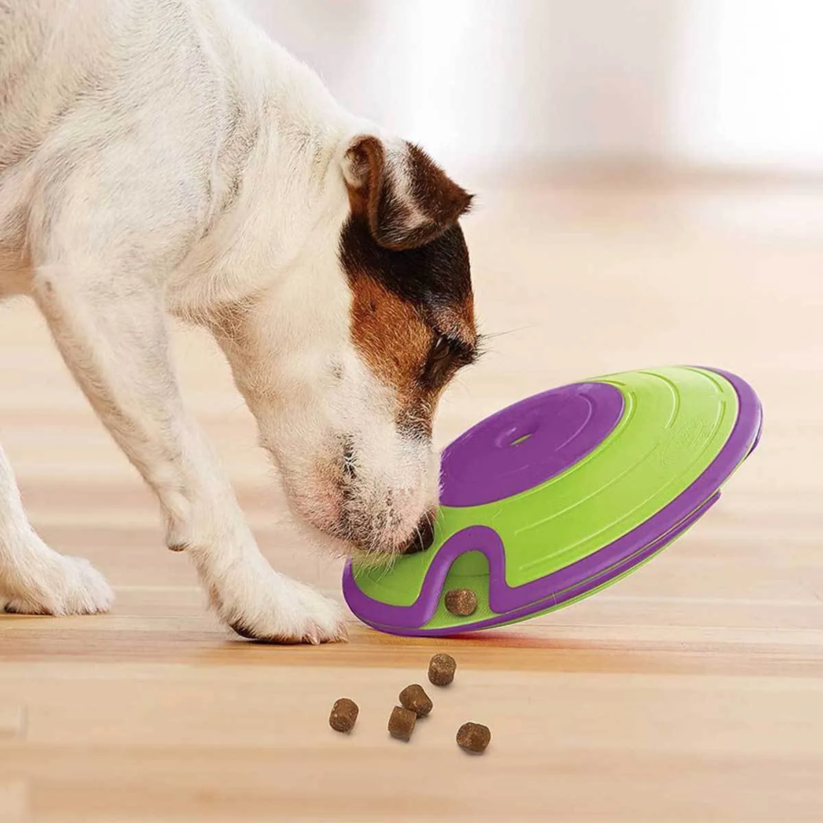 Treat Maze Puzzle Game Dog Toy - Intermediate
