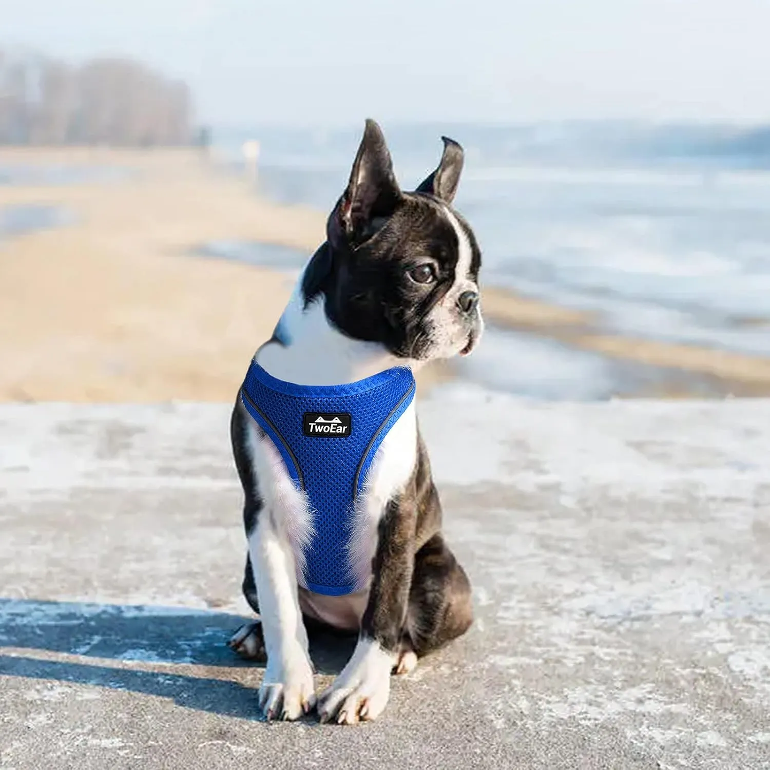 TwoEar Dog Vest Harness Reflective, No-Pull Pet Harness Easy Control with Breathable Mesh, Soft Puppy Step-in Harness No-Choke for Outdoor Walking, Training for Medium Dogs(M, Blue)